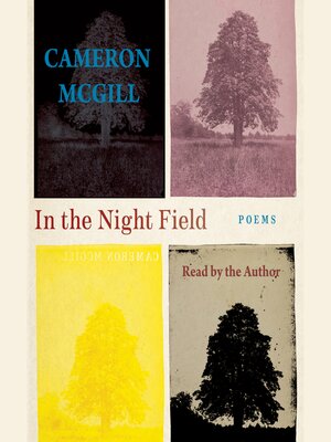 cover image of In the Night Field
